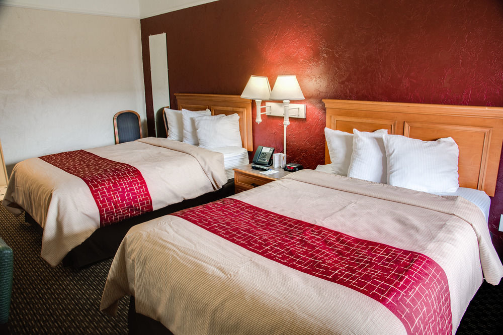 Red Roof Inn Tampa Bay - Сент-Питерсберг Экстерьер фото