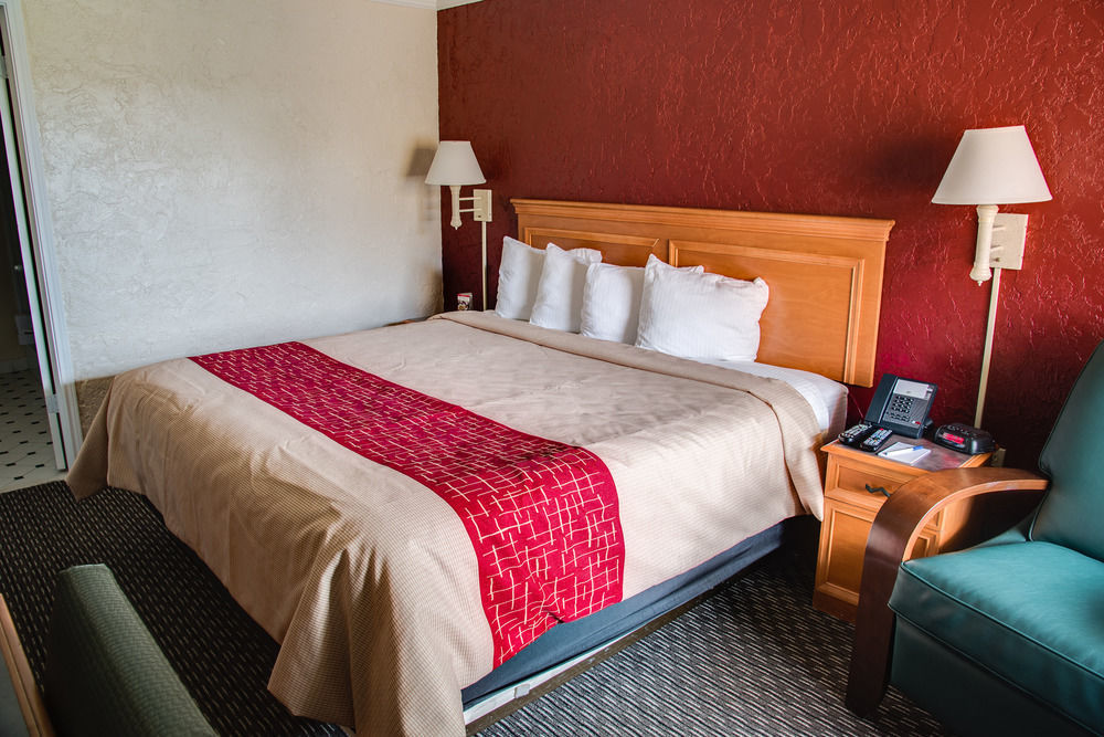 Red Roof Inn Tampa Bay - Сент-Питерсберг Экстерьер фото